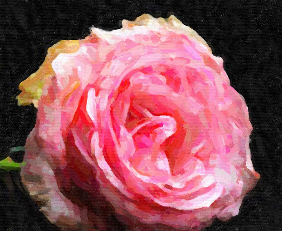 Abstract Pink Rose Painting