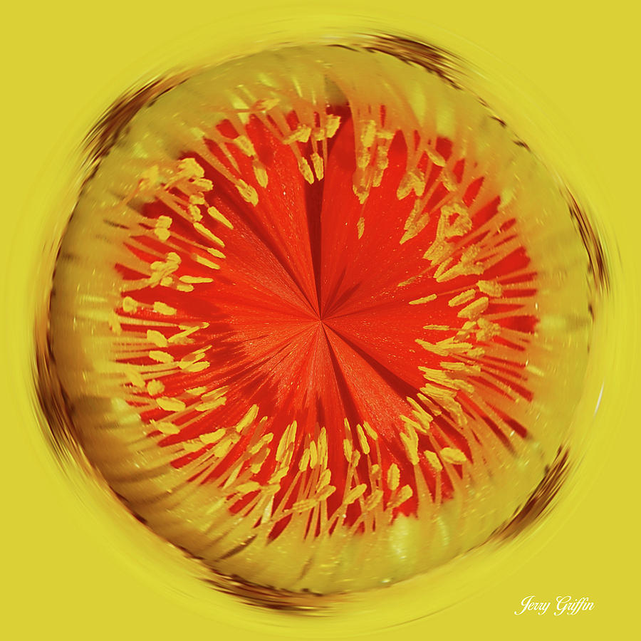 Abstract Pizza Digital Art by Jerry Griffin