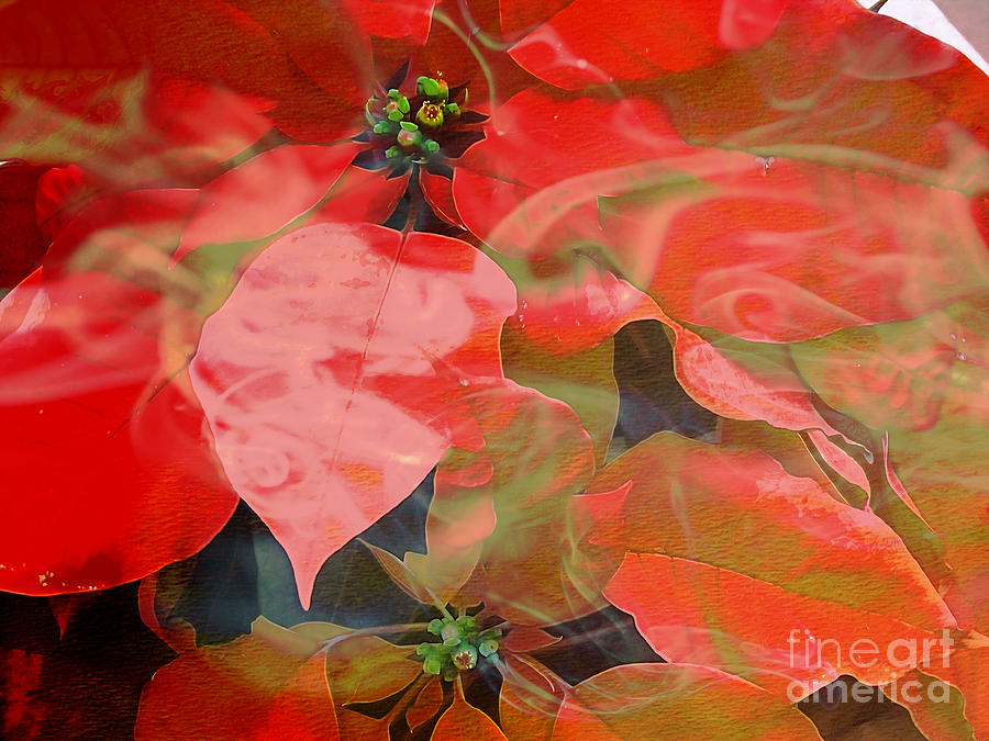 Abstract Poinsettia Mixed Media by Beverly Guilliams