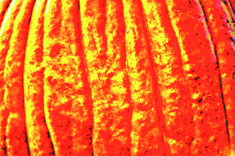 Abstract Pumpkin Shadows Photograph by Gina OBrien