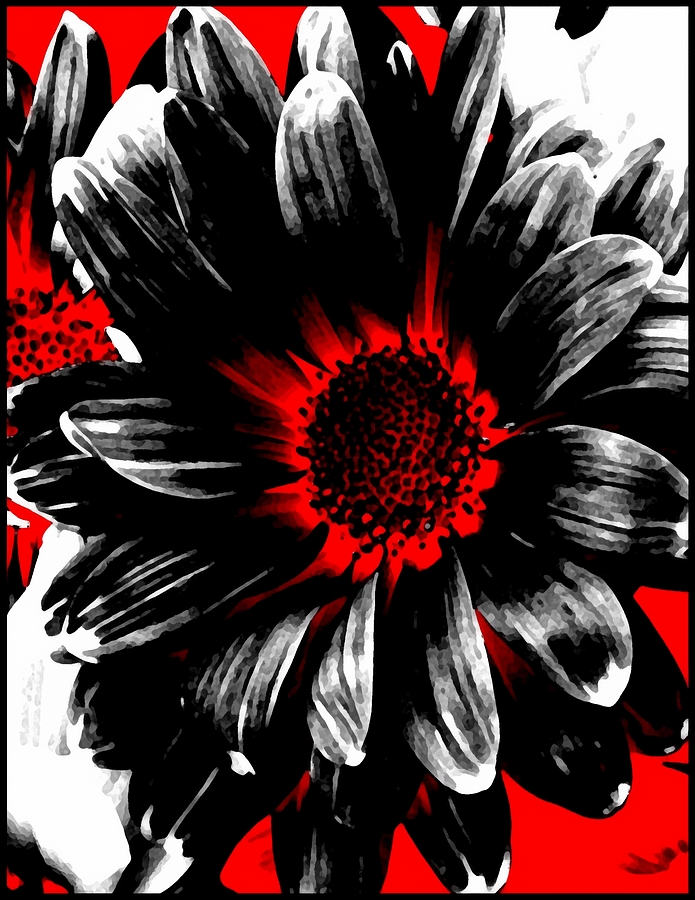 Abstract Photograph - Abstract Red White And Black Daisy by Angelina Tamez