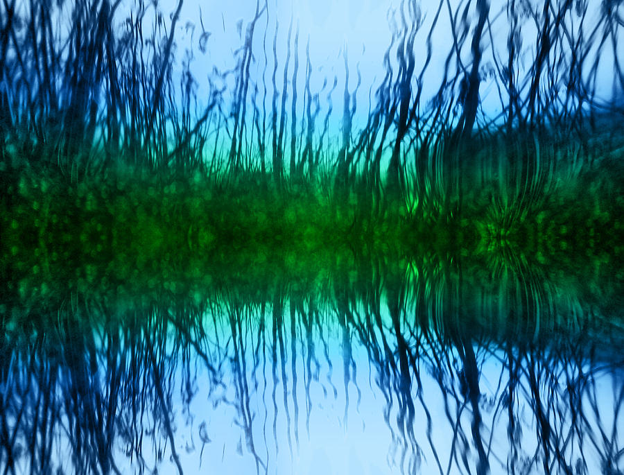 Abstract Reeds No. 1 Photograph by Tammy Wetzel