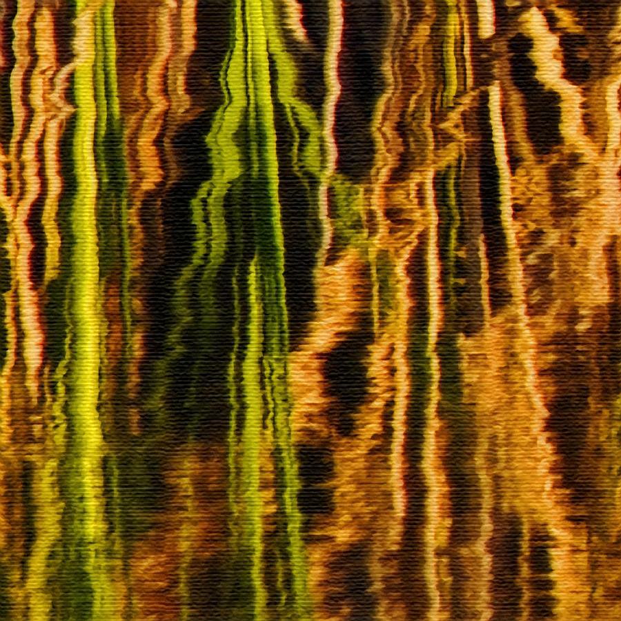 Abstract Reeds Triptych Middle Photograph by Steven Sparks