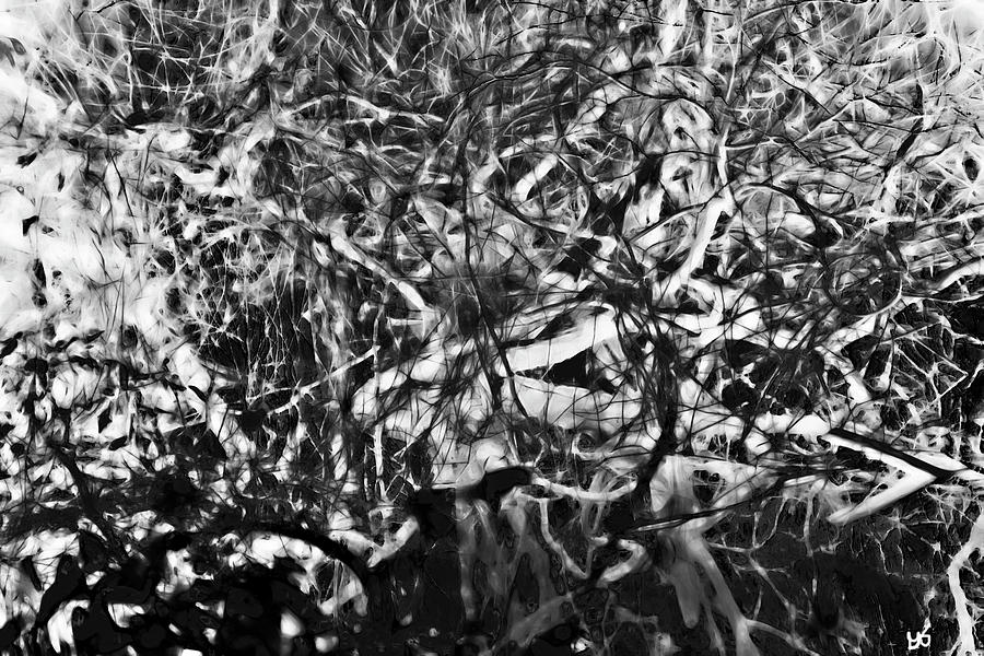 Abstract Reflection of a Bayou Photograph by Gina OBrien