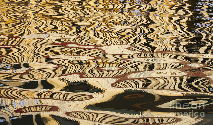 Abstract Reflections Photograph by Art Wolfe/MINT Images