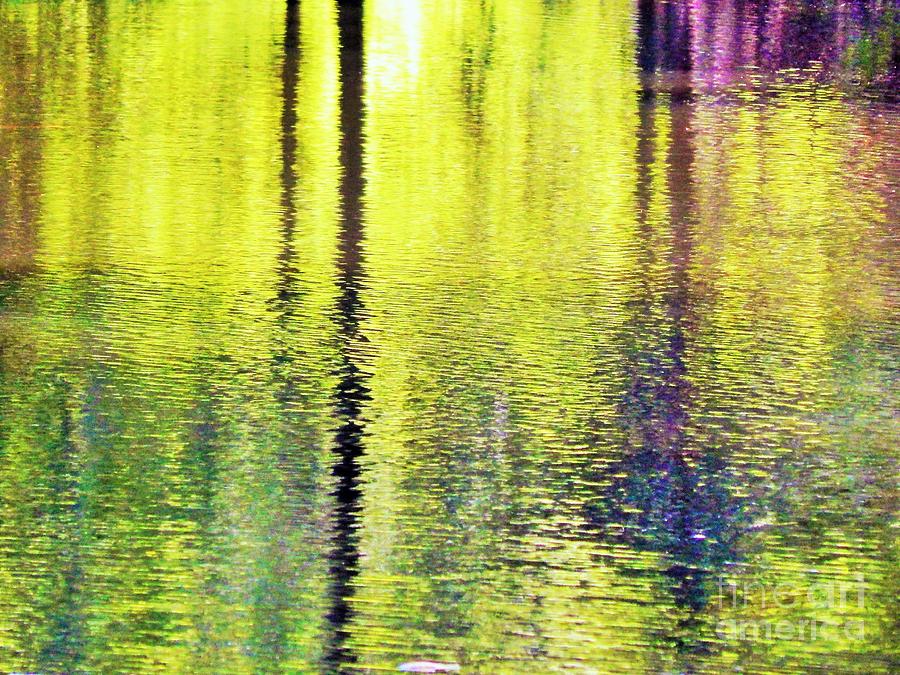Sunglow Pond Photograph by Jan Gelders