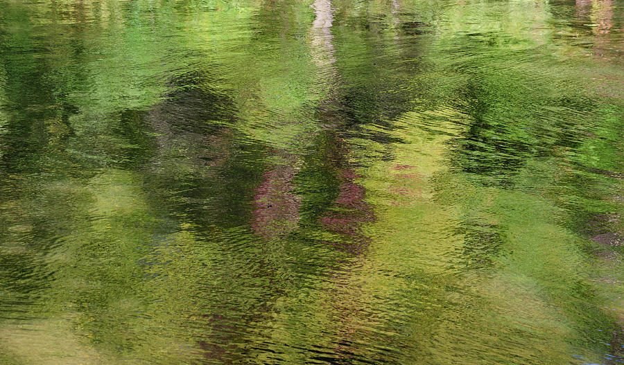Abstract Reflections Photograph by Janice Adomeit