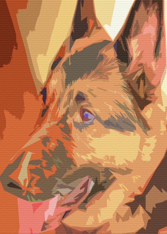Abstract Riley Profile by Angel Sharum Abstract Riley Profile by Angel Sharum
