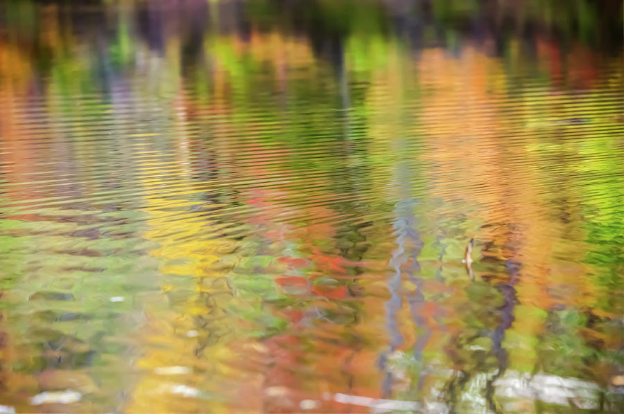 Fall Photograph - Abstract Ripples - Wavy Colors by Gregory Ballos