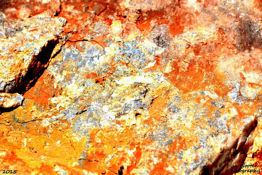 Abstract Rock Photograph by Lisa Wooten