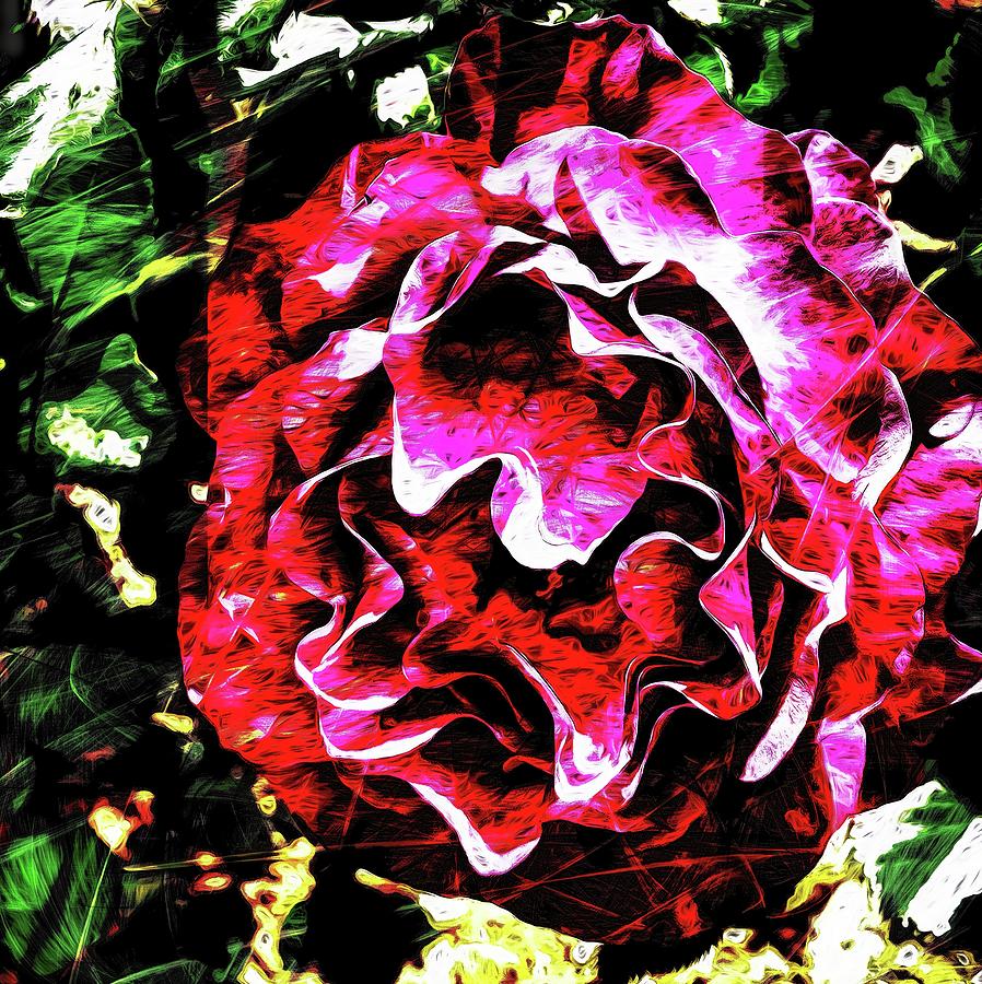 Abstract Rose 47 by Kristalin Davis Photograph by Kristalin Davis