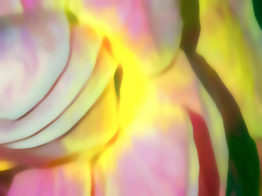 Abstract Rose Petals Digital Art