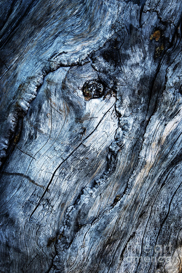 Abstract Shape On Old Wood Photograph by Jozef Jankola - Fine Art America