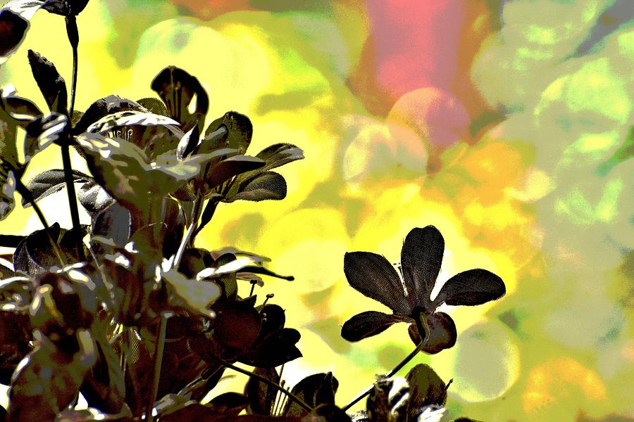 Abstract Silk Plant 1 Photograph by Linda Brody