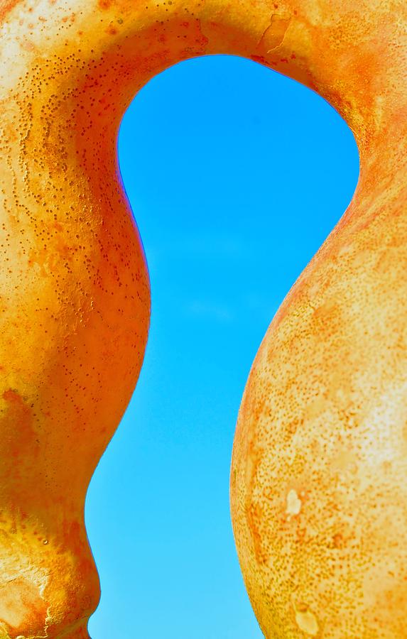 Abstract Sky and Gourd Photograph by Josephine Buschman