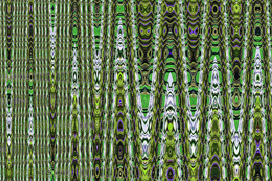 Abstract Slf 2 Digital Art by Tom Janca