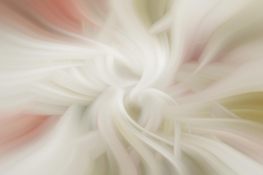 Abstract Softness by Diane Dugas Abstract Softness by Diane Dugas
