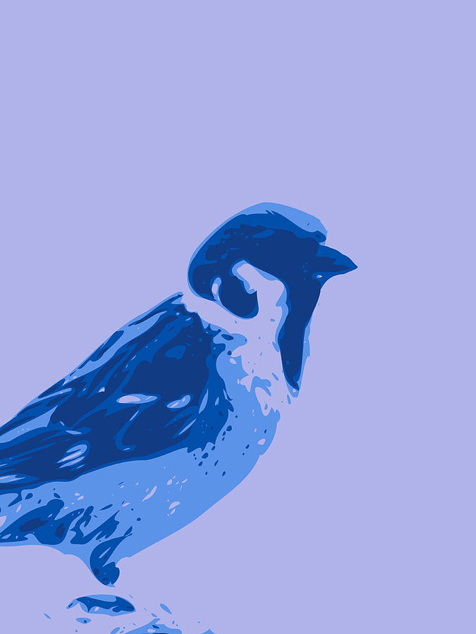 Abstract Sparrow Contours Blue Digital Art