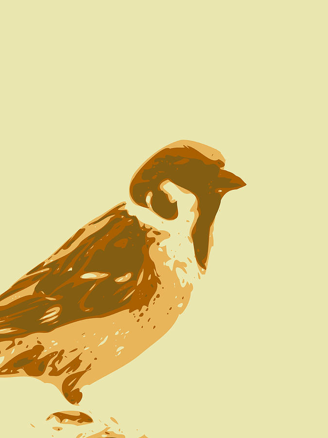 Abstract Sparrow Contours Brown Digital Art by Keshava Shukla