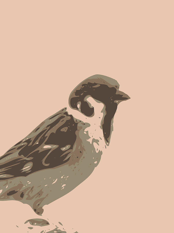 Abstract Sparrow Contours Digital Art by Keshava Shukla