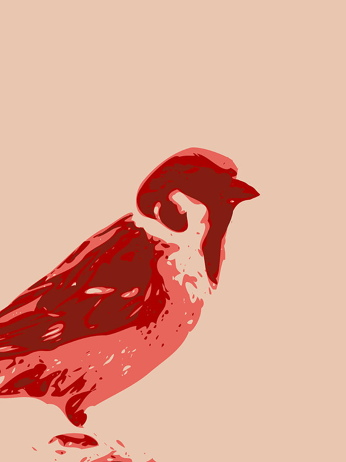 Abstract Sparrow Contours Red Digital Art by Keshava Shukla