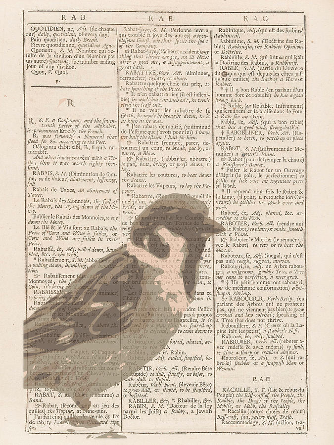 Abstract Sparrow On Dictionary Digital Art