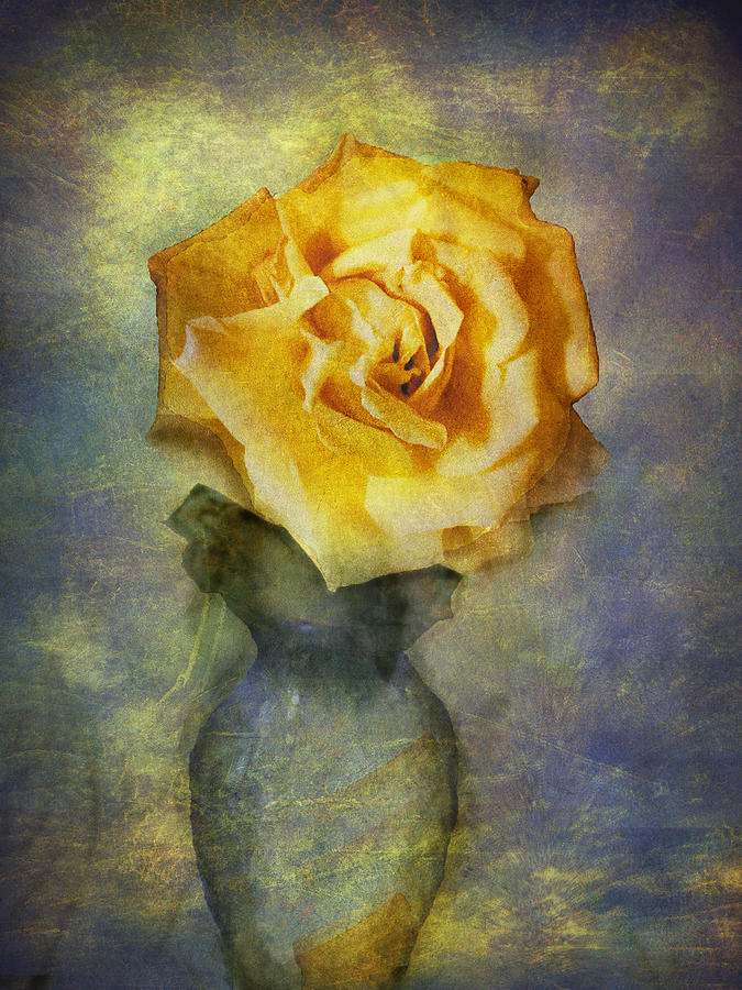 Abstract Still Life Rose In A Vase Photograph