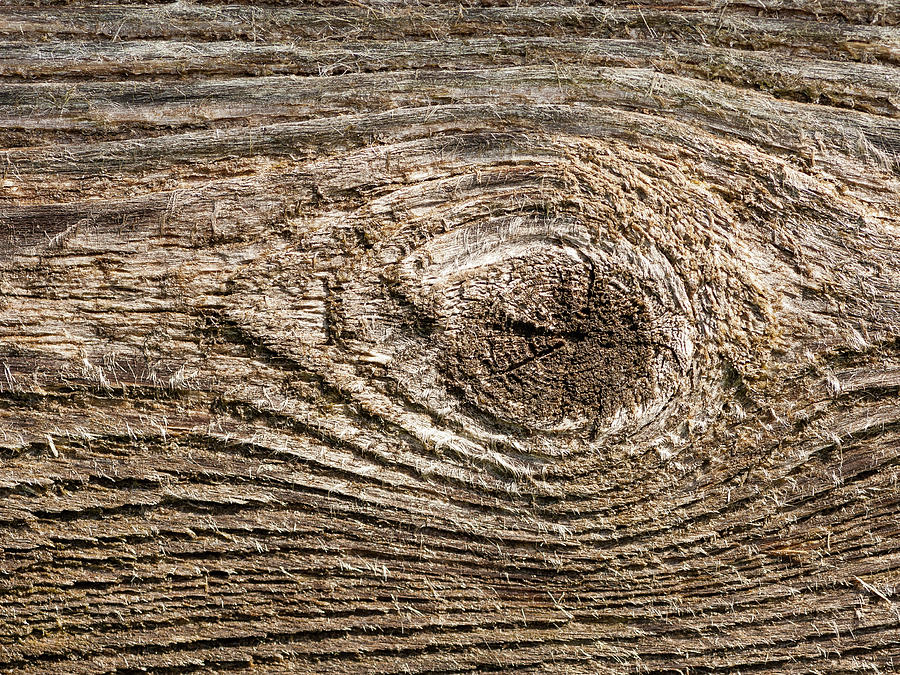 Abstract Structure And Detail Of A Wooden Board Photograph