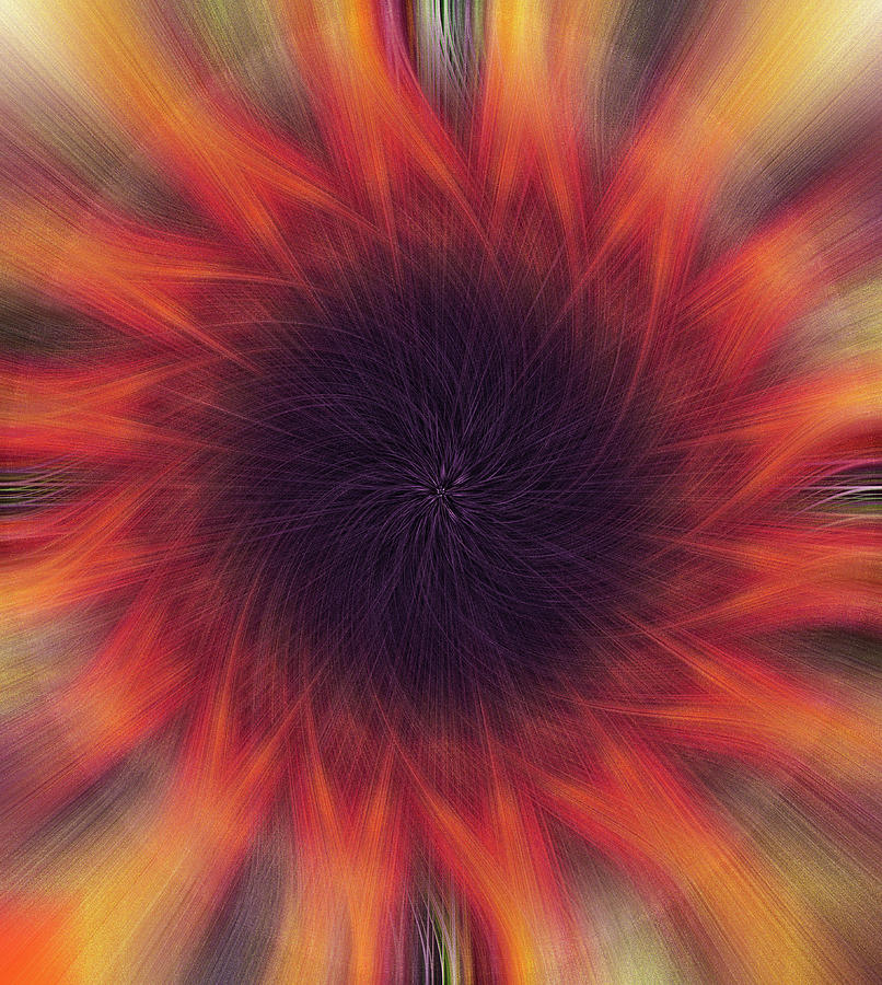 Abstract Sunflower  Photograph by Pete Federico