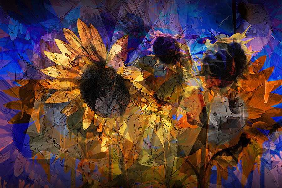 Sunflower Photograph - Abstract Sunflowers by Randall Nyhof