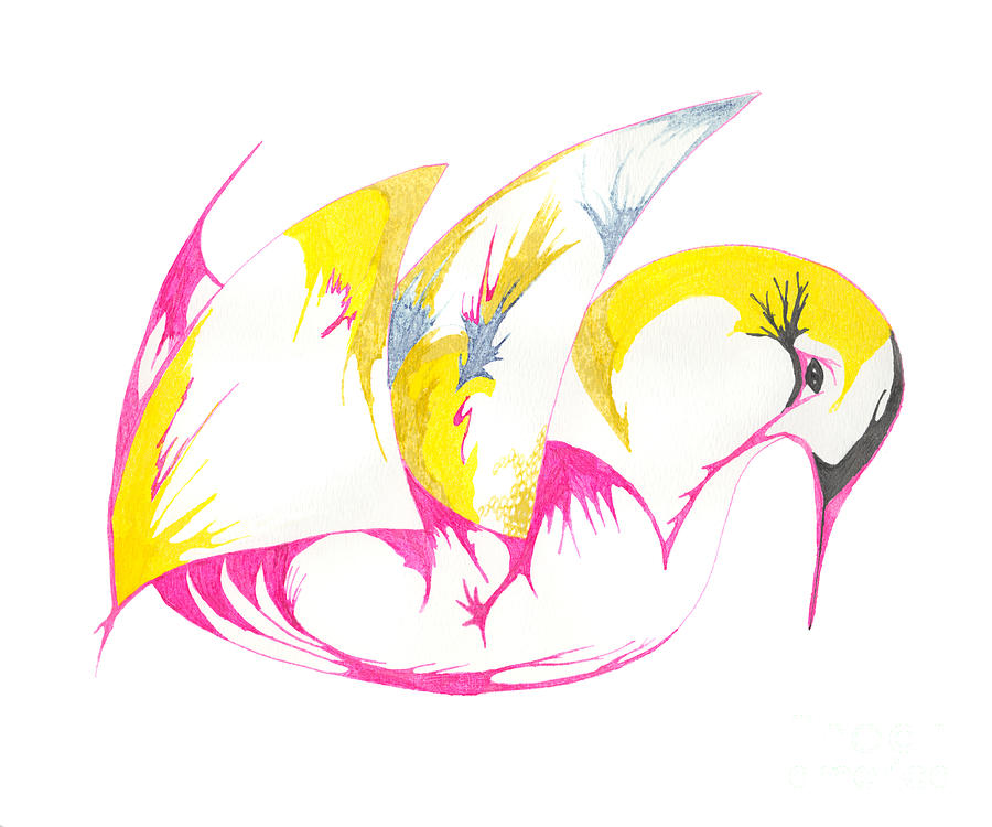 Abstract Swan Drawing by Mary Mikawoz
