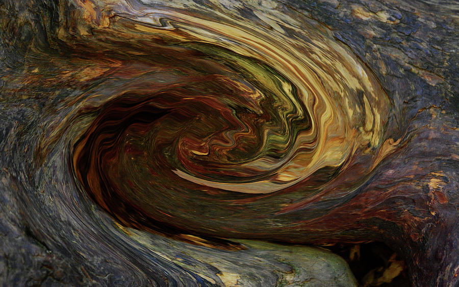 Abstract Swirl Burl Photograph by Whispering Peaks Photography