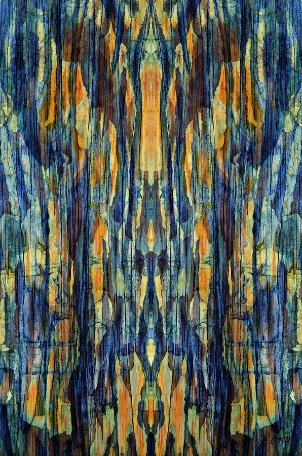 Abstract Photograph - Abstract Symmetry I by David Gordon