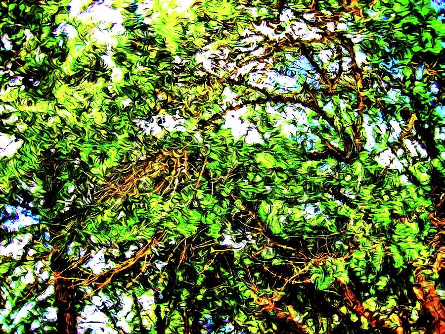Abstract Tree 61 Version 3 Photograph by Kristalin Davis