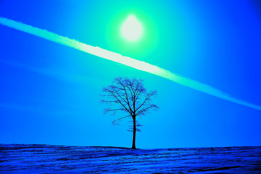 Abstract Tree Photograph by Gary Corbett
