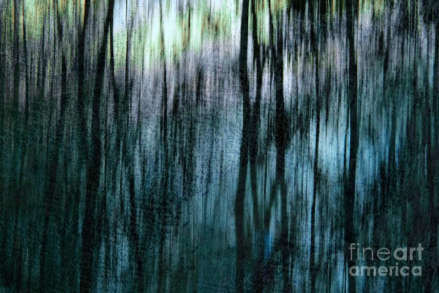 Abstract Trees Photograph by Dariusz Gudowicz