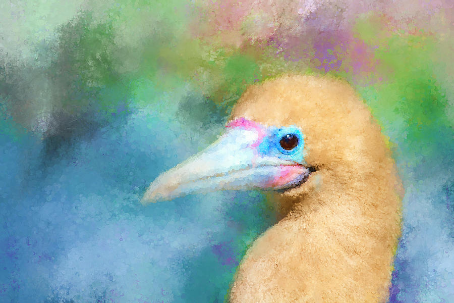 Abstract Tropical Bird Digital Art by Terry Davis