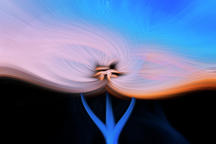 Abstract Twirl Flower Photograph