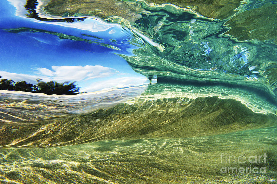 Abstract Underwater 1 Photograph by Vince Cavataio - Printscapes