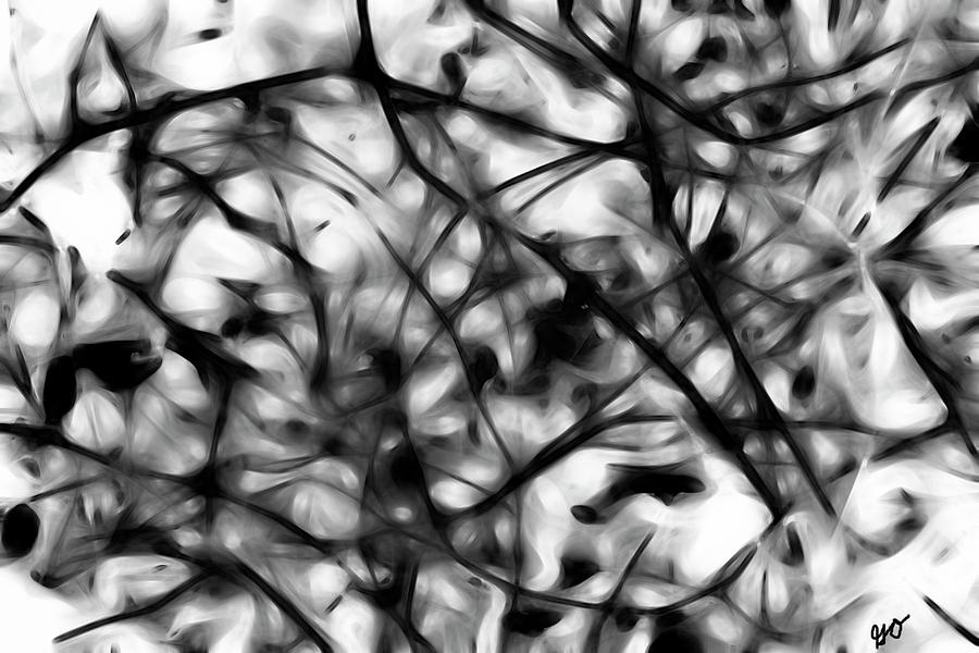 Abstract Vines In Black And White Photograph