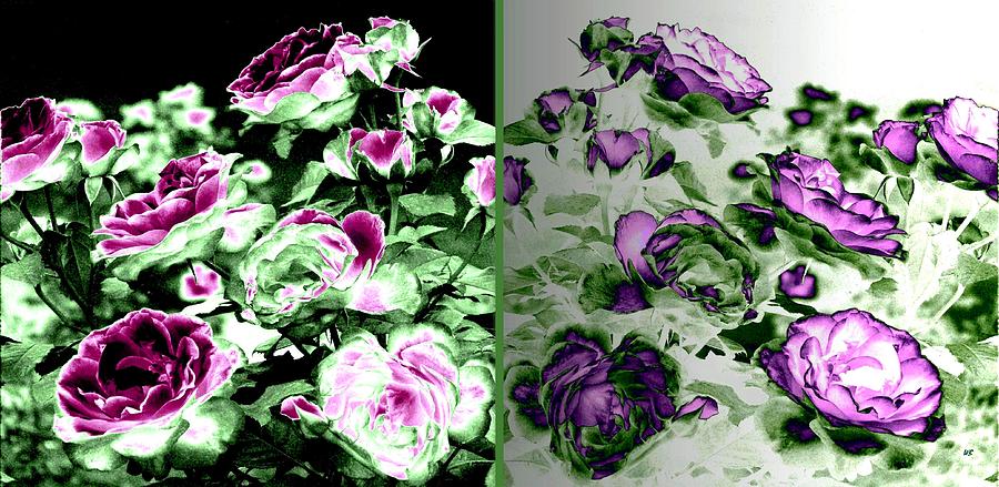 Abstract Vintage Roses Digital Art by Will Borden