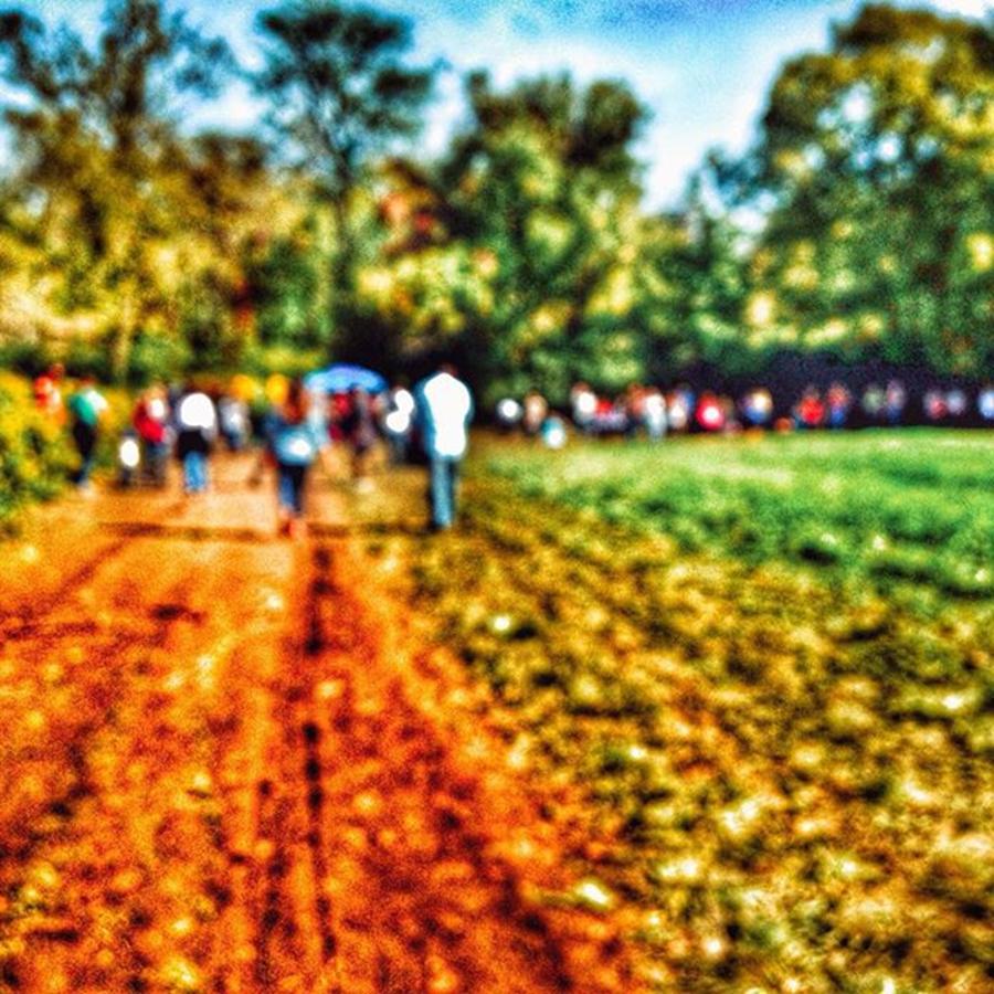 Abstract Photograph - Abstract Walk On The Farm by Phunny Phace