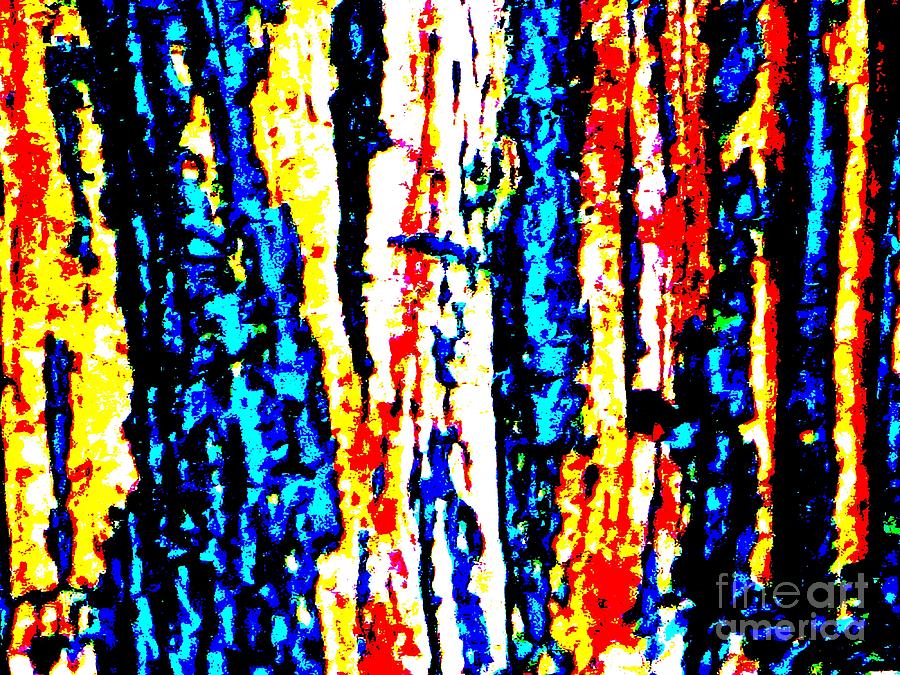 Abstract Wall Piece 67 Photograph by Tim Townsend