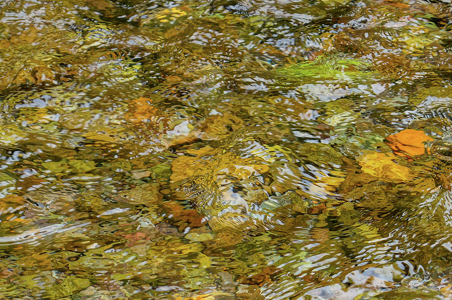 Abstract water Photograph by Tim Dussault