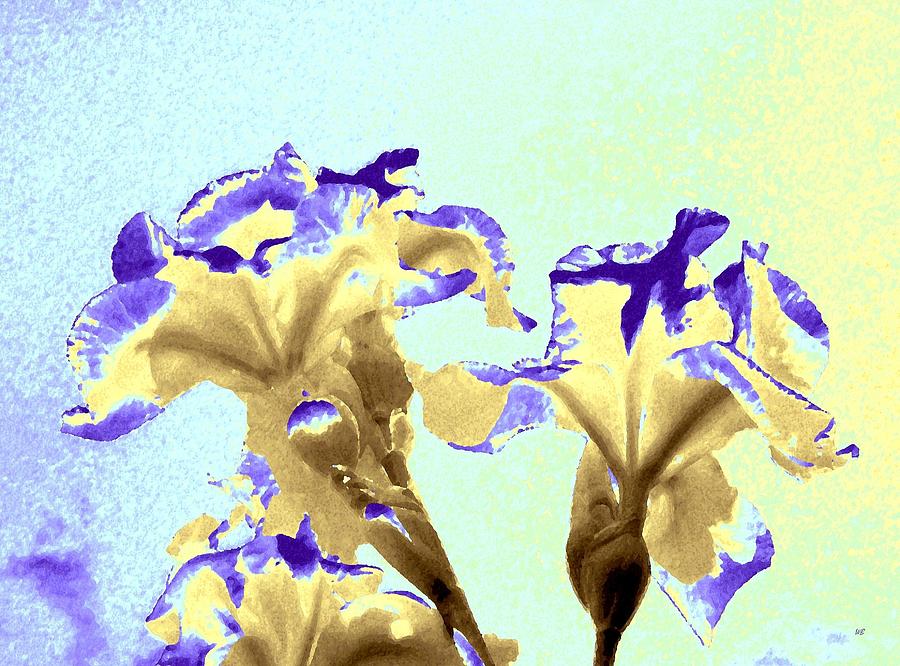 Abstract Watercolor Irises  Digital Art by Will Borden