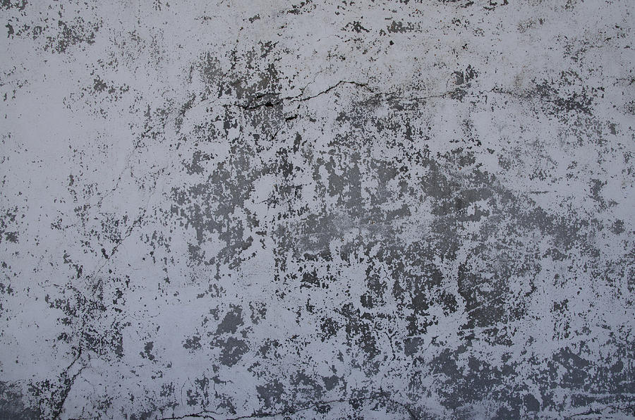 Abstract White Wall Photograph by Erik Burg