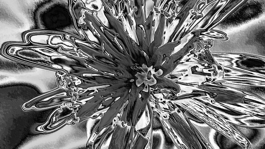Abstract Wildflower 10 Digital Art by Belinda Cox