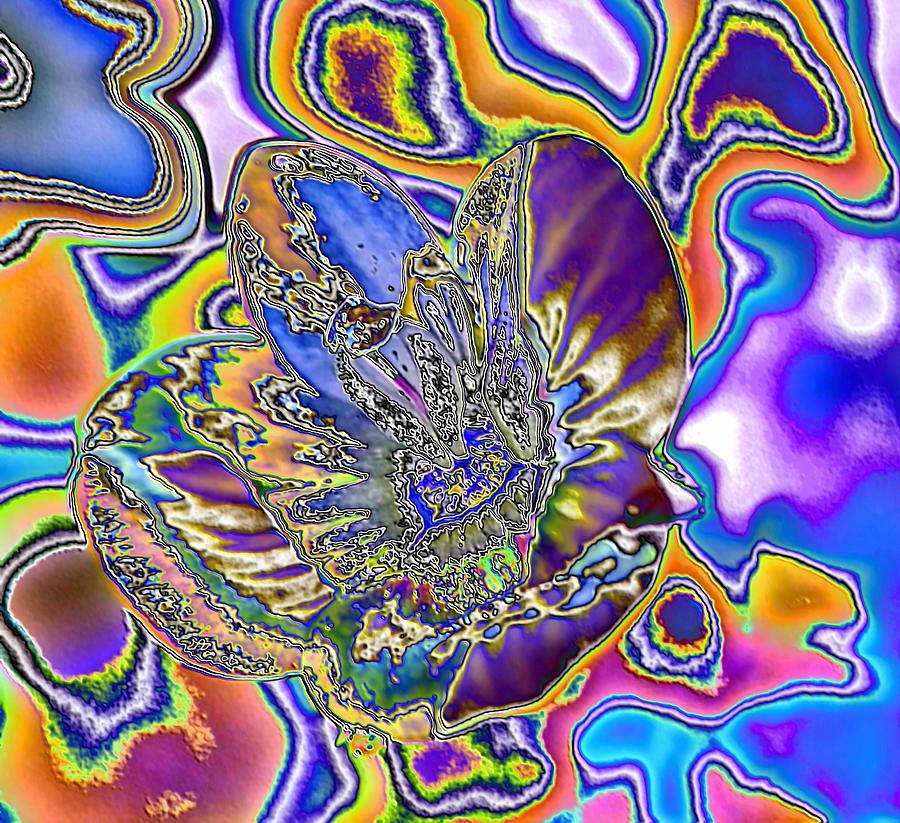 Abstract Wildflower 2 Digital Art by Belinda Cox