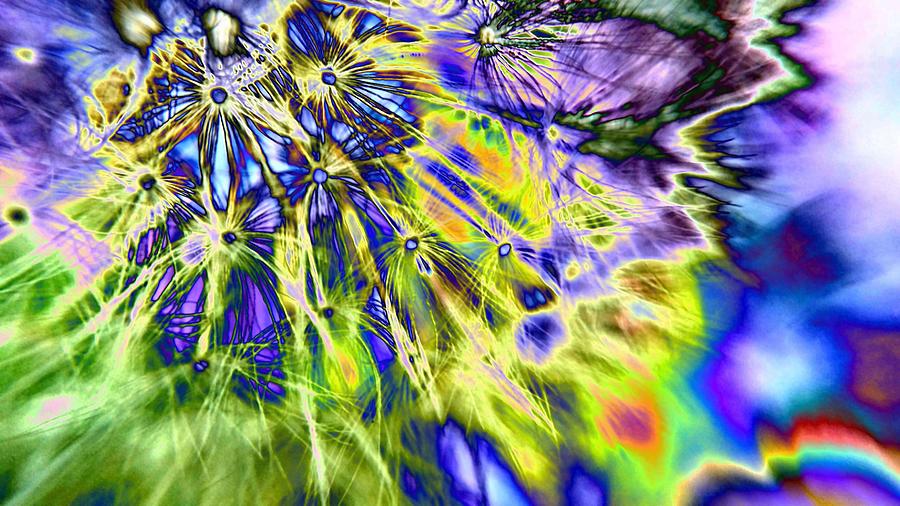 Abstract Wildflower 5 Digital Art by Belinda Cox