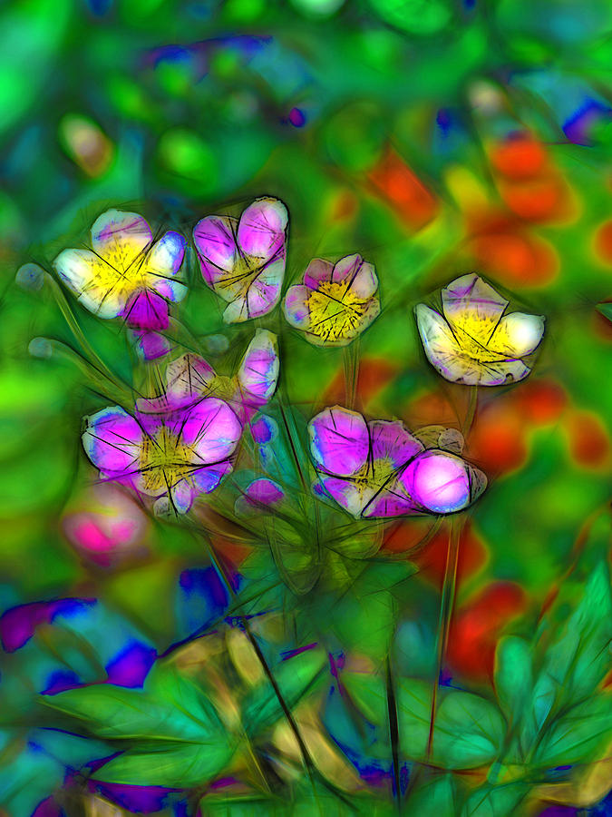 Flower Digital Art - Abstract Wildflowers  by Jean-Marc Lacombe